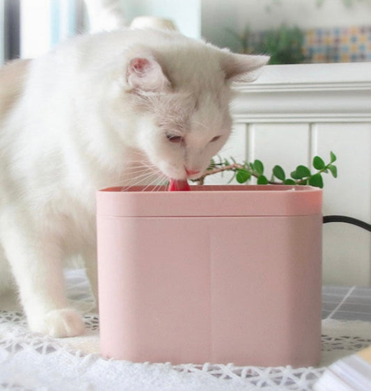 Relaxing and Silent Running Drinking Water Fountain for Cats